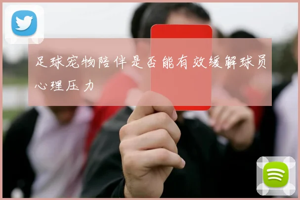 足球宠物陪伴是否能有效缓解球员心理压力