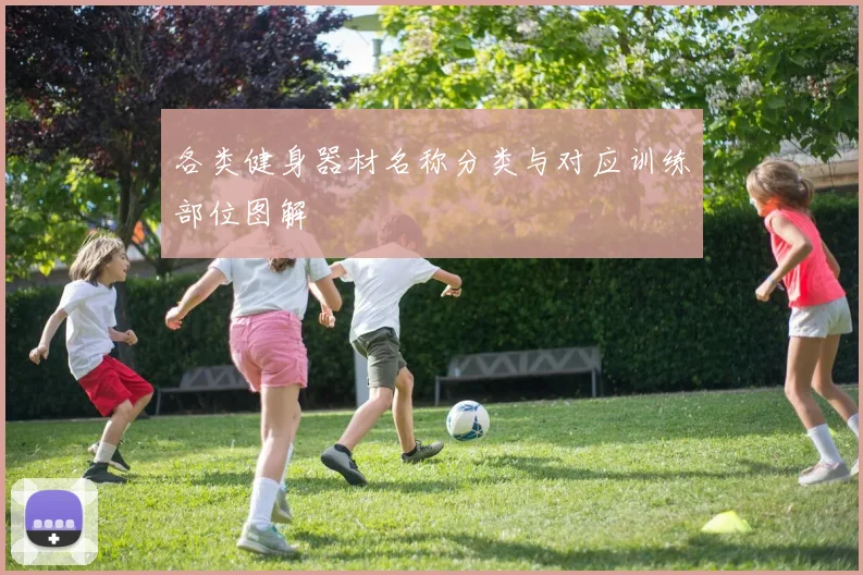 各类健身器材名称分类与对应训练部位图解