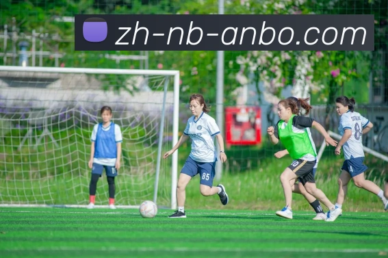 安博体育APP 封面图